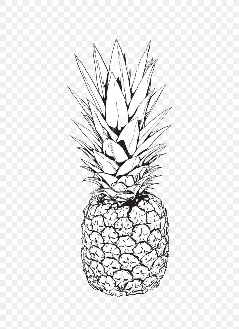 Pineapple Drawing Clip Art, PNG, 1073x1477px, Pineapple, Black And White, Drawing, Flowering Plant, Food Download Free