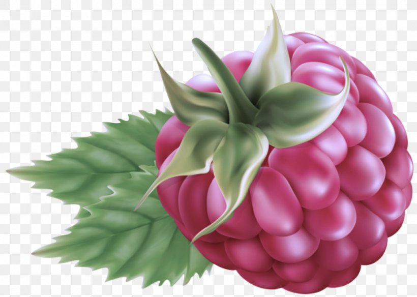Pink Plant Leaf Fruit Flower, PNG, 1015x724px, Pink, Berry, Flower, Food, Fruit Download Free