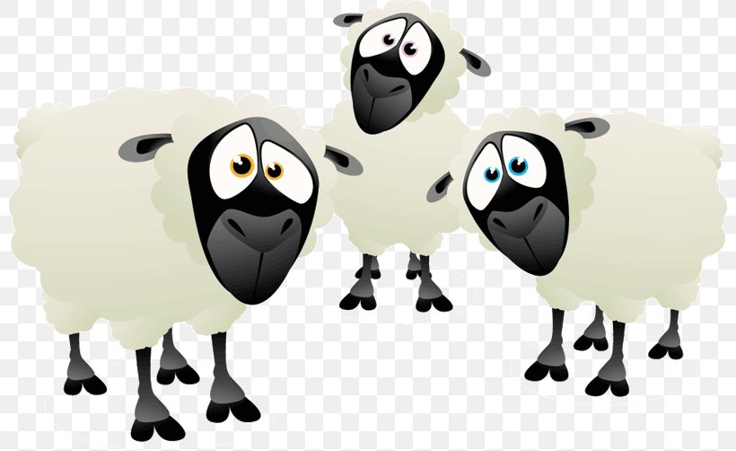 Scottish Blackface Cartoon Black Sheep, PNG, 800x502px, Scottish Blackface, Beak, Black Sheep, Cartoon, Cattle Like Mammal Download Free