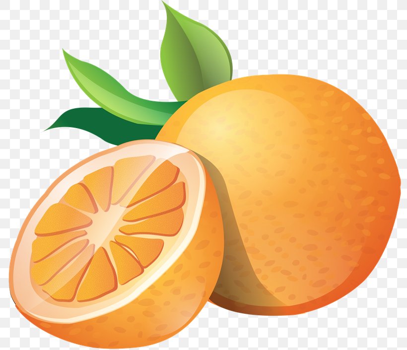 Clip Art Openclipart Orange Download, PNG, 800x705px, Orange, Bitter Orange, Chenpi, Citric Acid, Citrus Download Free