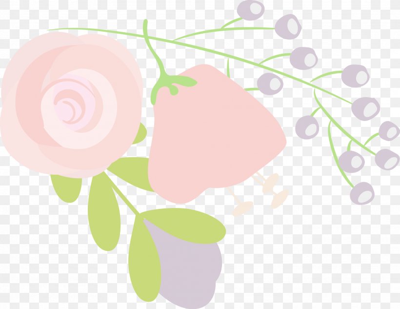 Clip Art Pink M Product Desktop Wallpaper Design, PNG, 2024x1564px, Pink M, Branch, Computer, Flora, Floral Design Download Free