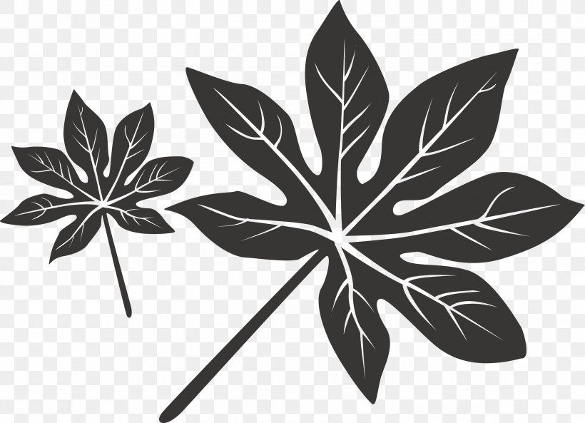 Leaf, PNG, 2999x2171px, Leaf, Black, Black And White, Flower, Line Download Free