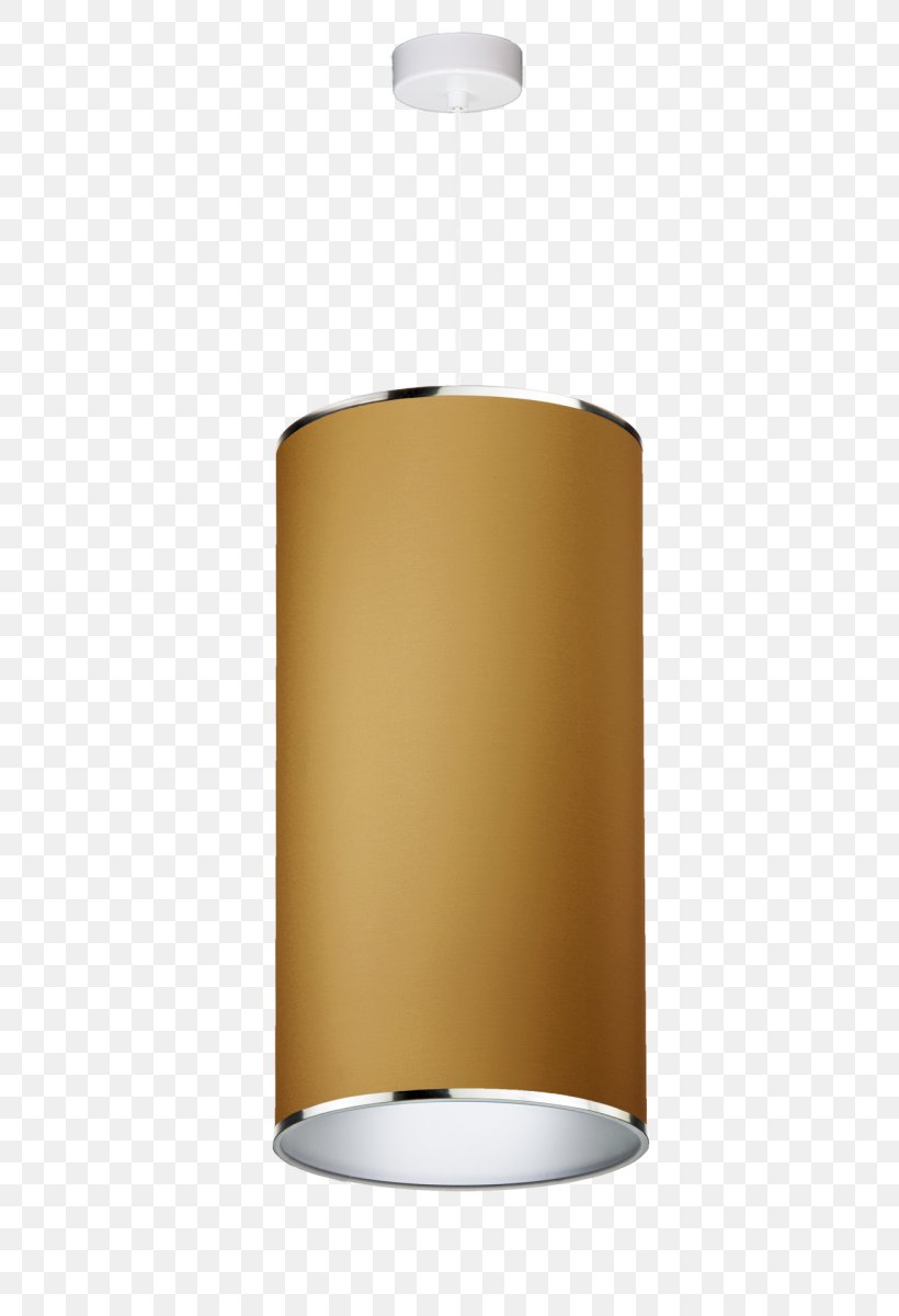 Lighting Light Fixture Cylinder, PNG, 800x1200px, Lighting, Ceiling, Ceiling Fixture, Cylinder, Light Fixture Download Free