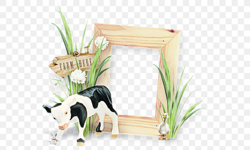 Picture Frame, PNG, 600x493px, Picture Frame, Border Collie, Breed, Dairy, Dairy Cattle Download Free