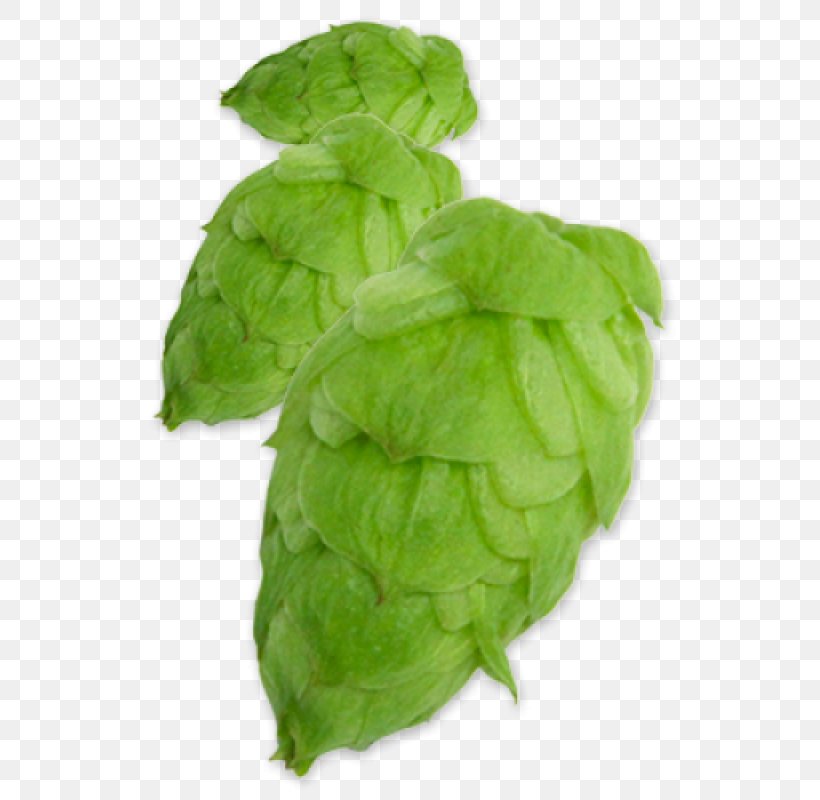 Beer Common Hop Yakima Chief Hops YCH HOPS, PNG, 800x800px, Beer, Alpha Acid, Beer Brewing Grains Malts, Citra, Common Hop Download Free
