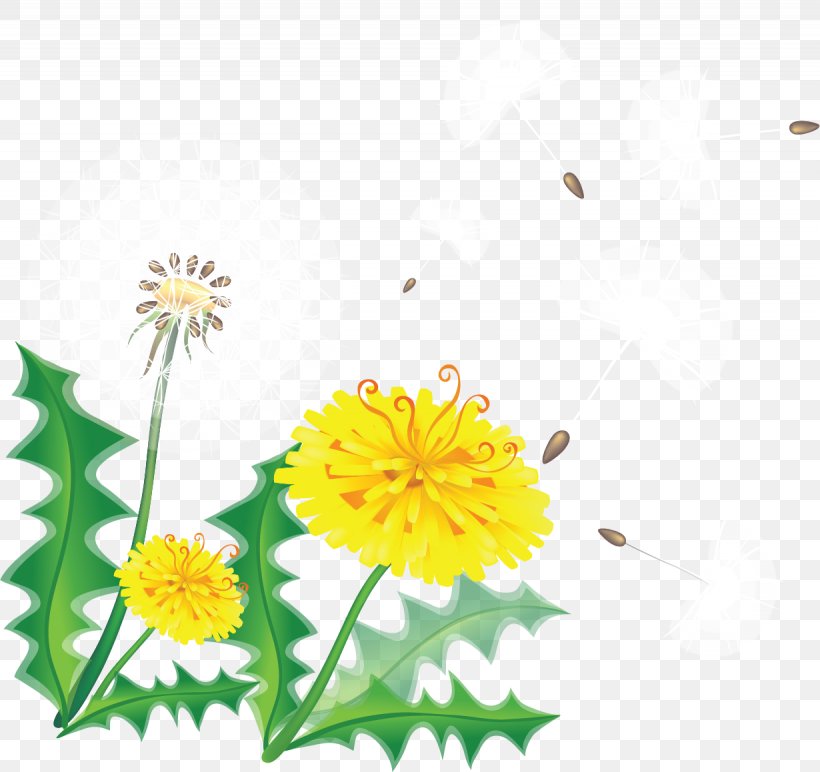 Borders And Frames Clip Art Vector Graphics Common Dandelion Image, PNG, 1230x1159px, Borders And Frames, Asterales, Camomile, Chamomile, Chrysanths Download Free