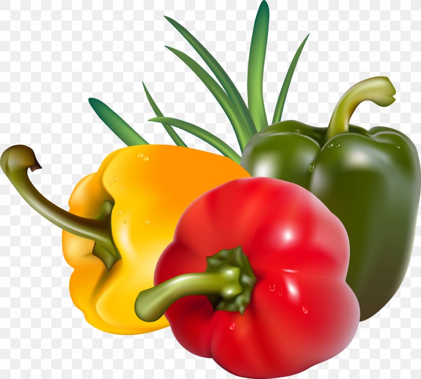 Capsicum Bell Pepper Tomato Chili Pepper Paprika, PNG, 1500x1352px, Capsicum, Bell Pepper, Bell Peppers And Chili Peppers, Cayenne Pepper, Chili Pepper Download Free