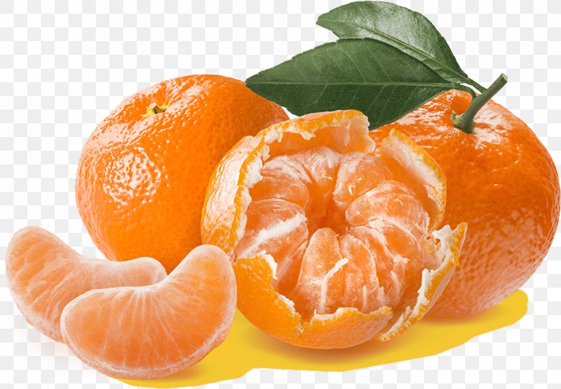 Clementine Mandarin Orange Tangerine Tangelo Bitter Orange, PNG, 825x572px, Clementine, Bitter Orange, Chenpi, Citric Acid, Citrus Download Free