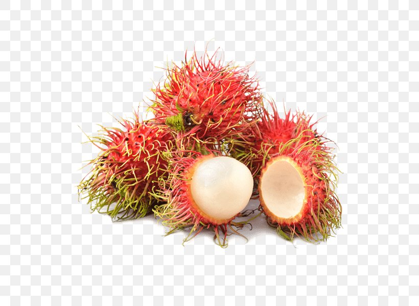 Fruit Soursop Pitaya Rambutan Horned Melon, PNG, 600x600px, Fruit, Apple, Durian, Food, Fruit Exotique Download Free