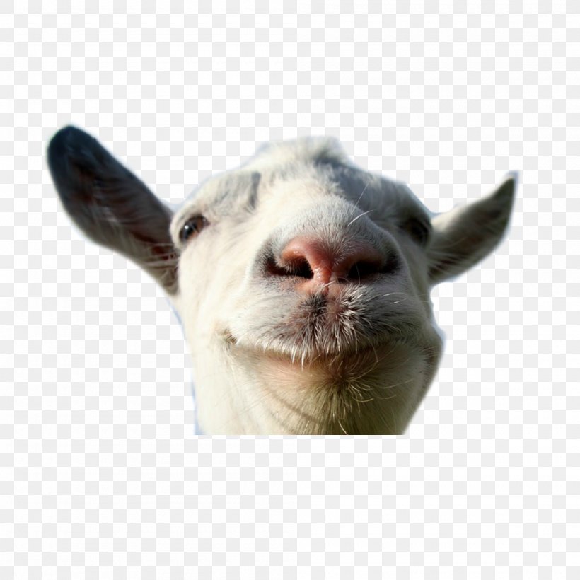 Goat Simulator Escape Goat Space Goat Xbox 360, PNG, 2000x2000px, Goat Simulator, Android, Cattle Like Mammal, Coffee Stain Studios, Cow Goat Family Download Free
