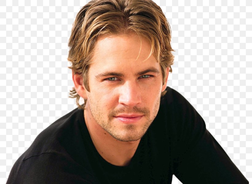 Paul Walker The Fast And The Furious Brian O'Conner Actor, PNG, 800x600px, Paul Walker, Actor, Celebrity, Cheek, Chin Download Free