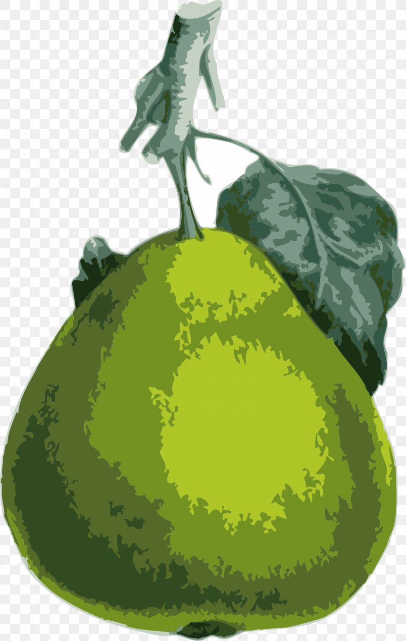 Pear Download Clip Art, PNG, 1520x2400px, Pear, Cucumber Gourd And Melon Family, Cucurbita, Drawing, Food Download Free