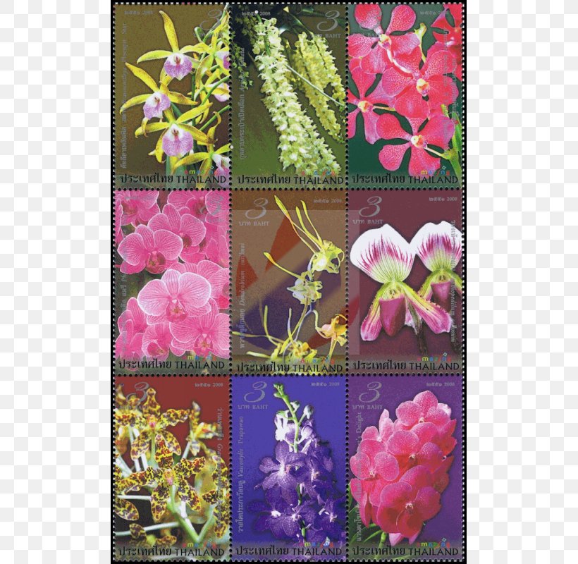 Thailand Postage Stamps First Day Of Issue Orchids Mail, PNG, 800x800px, Thailand, Aerogram, Annual Plant, Collage, First Day Of Issue Download Free