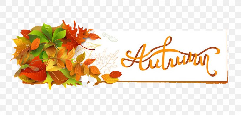 Autumn Maple Leaf, PNG, 1064x510px, Autumn, Autumn Leaf Color, Cut Flowers, Floral Design, Floristry Download Free