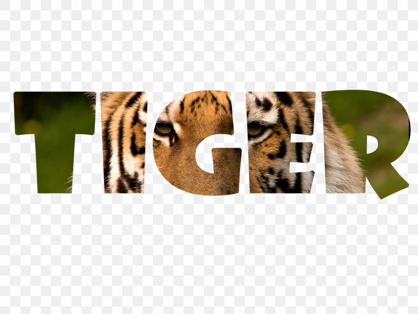 Bengal Tiger Word Jaguar Text Tigerfell, PNG, 1600x1200px, Bengal Tiger, Brand, Carnivora, Carnivoran, Jaguar Download Free