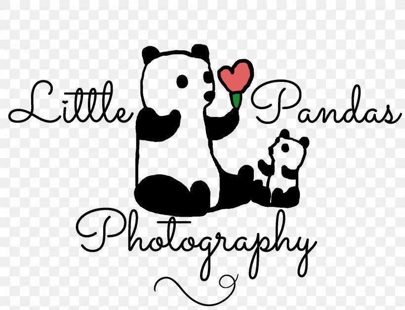 Logo Little Pandas Photography Bear Giant Panda Mammal, PNG, 2100x1609px, Watercolor, Cartoon, Flower, Frame, Heart Download Free