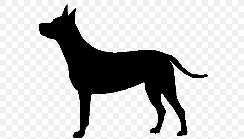 Newfoundland Dog Pet Paw Clip Art, PNG, 629x467px, Newfoundland Dog, Animal, Animalassisted Therapy, Australian Kelpie, Black Download Free