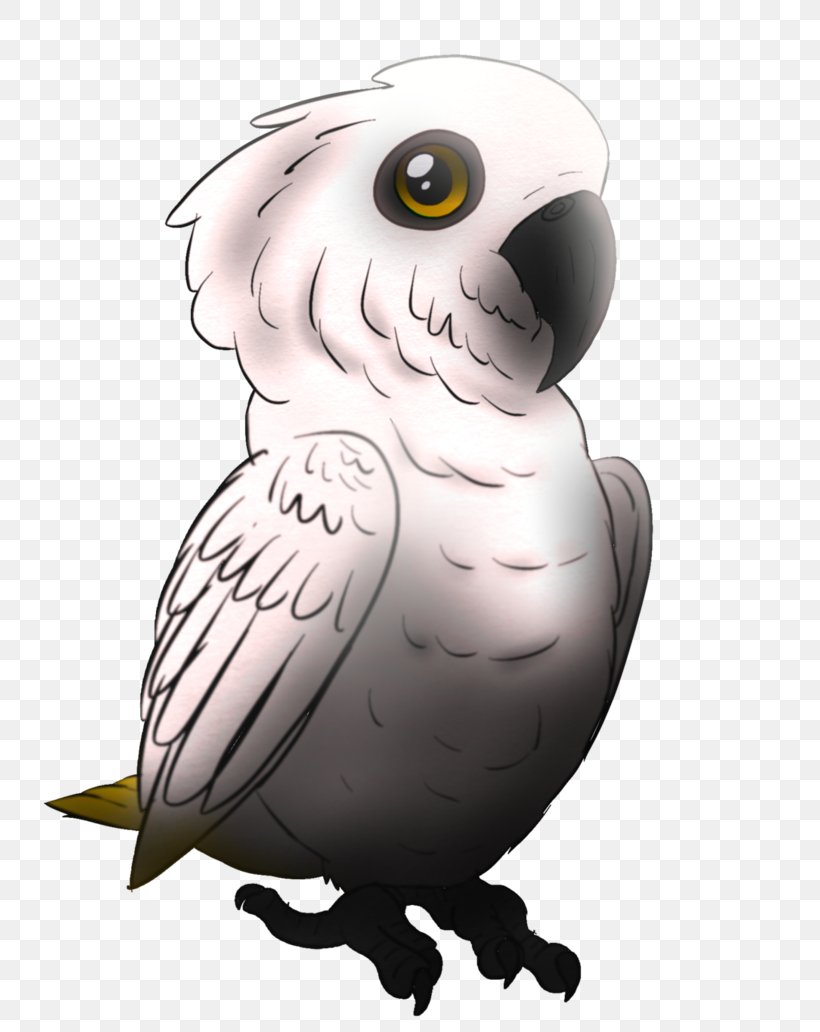 Owl Beak Bird Of Prey, PNG, 774x1032px, Owl, Beak, Bird, Bird Of Prey, Cartoon Download Free