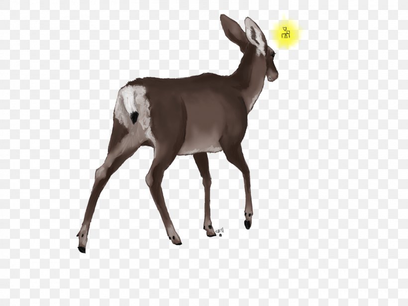 Reindeer Antelope White-tailed Deer Goat, PNG, 1600x1200px, Deer, Animal, Antelope, Antler, Cattle Download Free