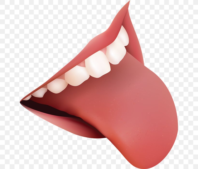 Tongue Clip Art Anatomy Taste Bud, PNG, 655x700px, Tongue, Anatomy, Human Anatomy, Human Mouth, Jaw Download Free