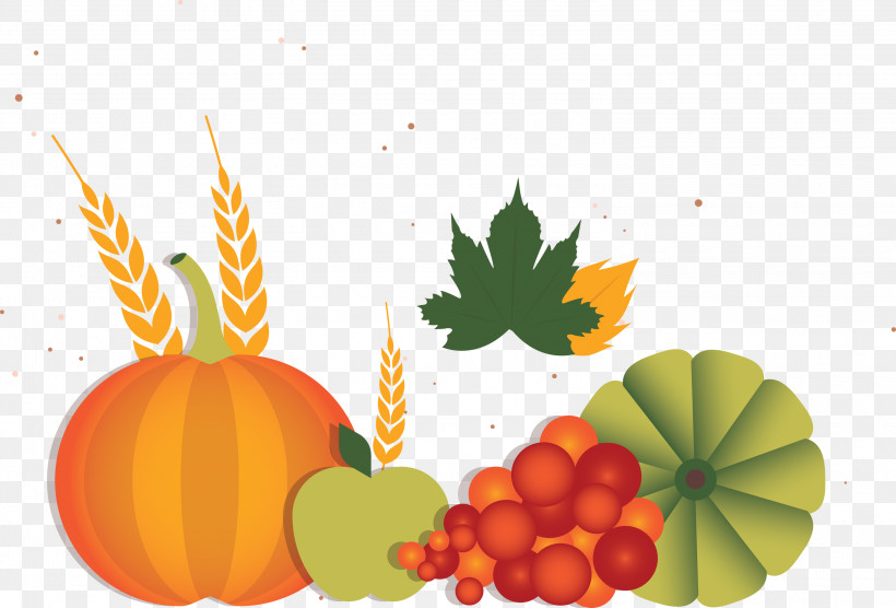Vegetable Harvest Autumn, PNG, 3000x2037px, Vegetable, Autumn, Calabaza, Computer, Hahn Hotels Of Sulphur Springs Llc Download Free