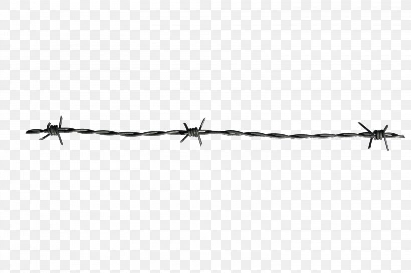 Fence Home Barbed Wire Pride, PNG, 3008x2000px, Fence, Barbed Wire, Branch, Home, Home Fencing Download Free