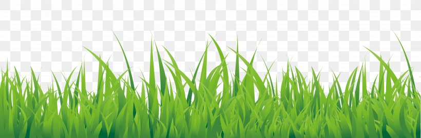 Green Hand Painted Small Grass Border Texture, PNG, 3776x1243px, Grass, Commodity, Designer, Grass Family, Gratis Download Free