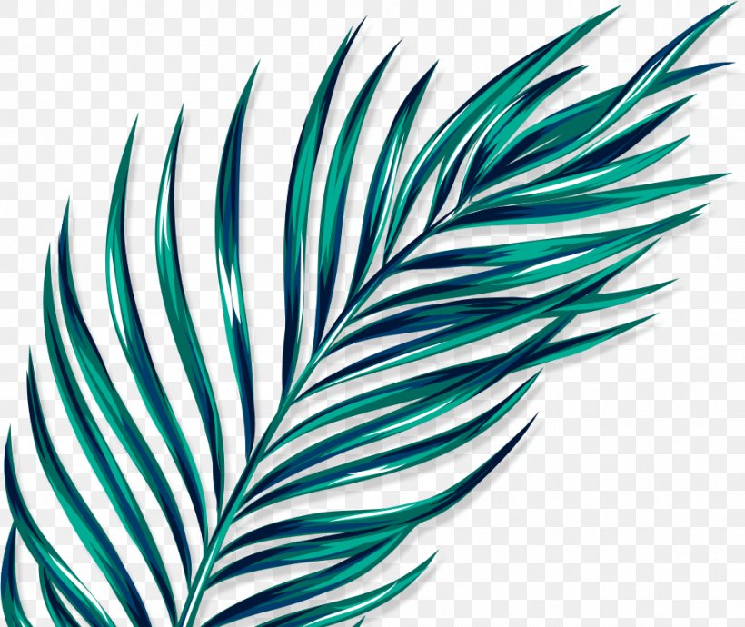 Leaf Line Turquoise, PNG, 953x803px, Leaf, Feather, Plant, Turquoise, Wing Download Free