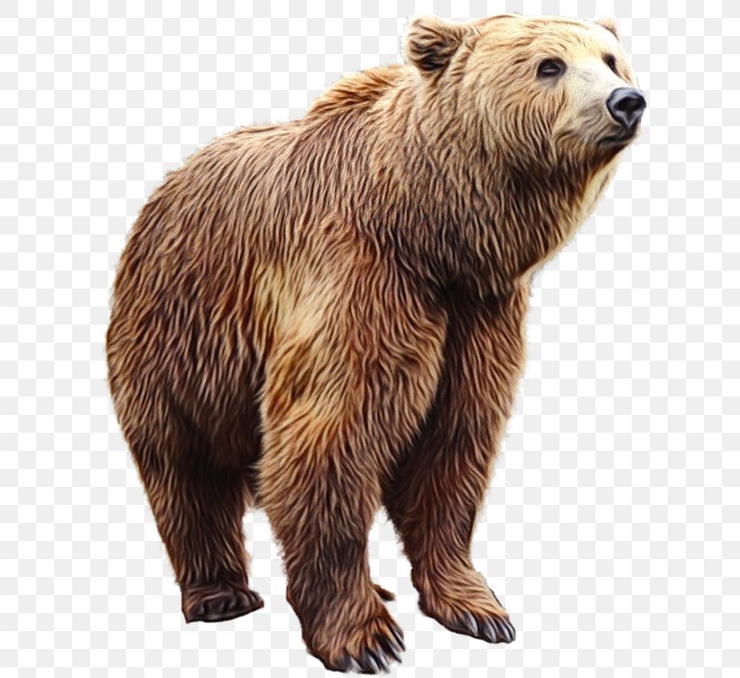 Teddy Bear Cartoon, PNG, 620x752px, Bear, Alaska Peninsula Brown Bear, Animal Figure, Bear Attack, Brown Bear Download Free