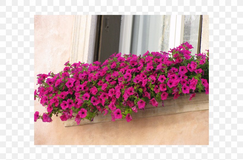 Window Box Floral Design Flowerpot, PNG, 890x590px, Window, Annual Plant, Cut Flowers, Flora, Floral Design Download Free