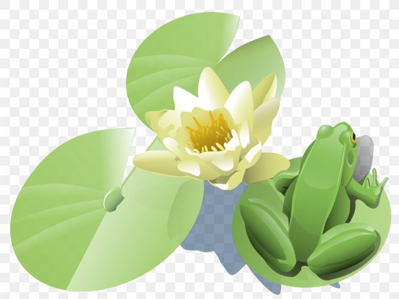 Frog Clip Art, PNG, 999x749px, Frog, Cartoon, Drawing, Flower, Free Content Download Free