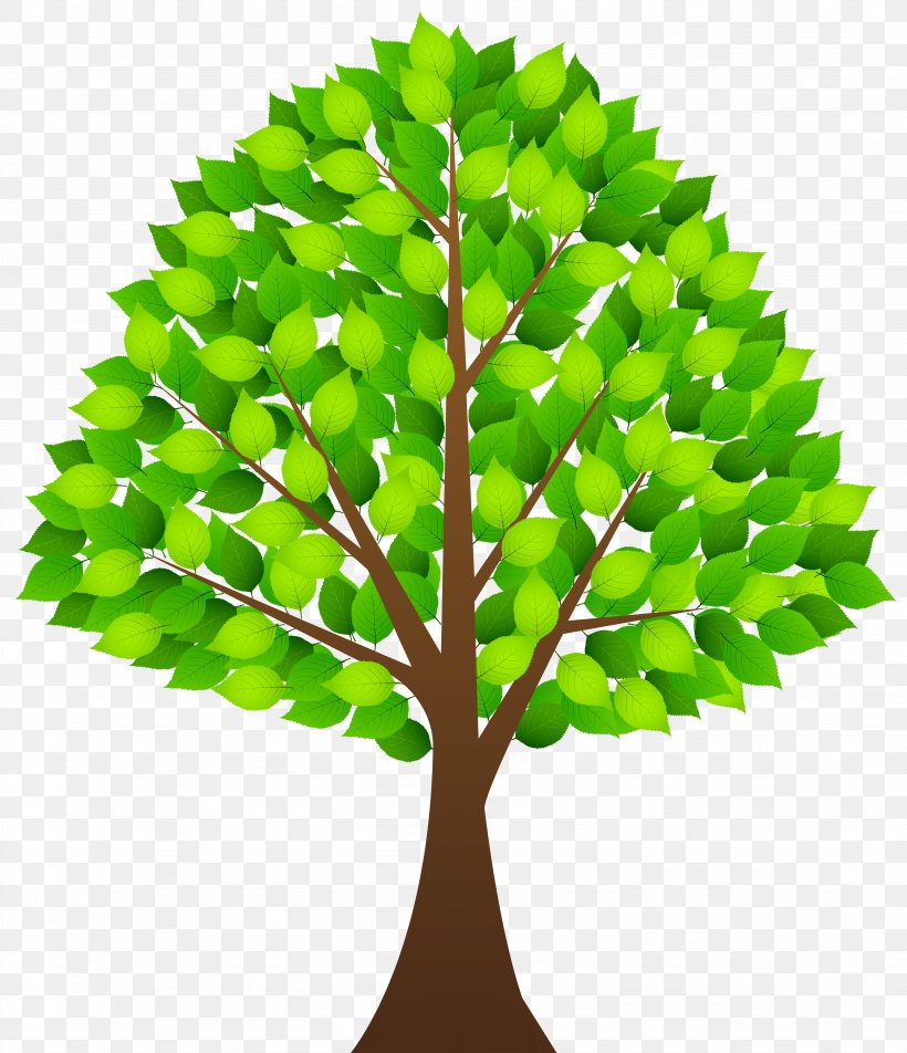 Tree Clip Art, PNG, 4303x5000px, Tree, Arecaceae, Autumn Leaf Color, Branch, Color Download Free
