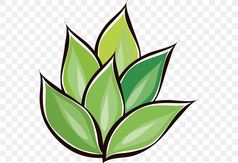 Cartoon Clip Art, PNG, 554x563px, Cartoon, Drawing, Flower, Flowering Plant, Google Images Download Free