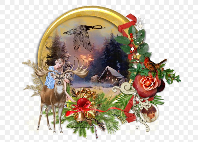 Christmas Ornament Republic Of Serbian Krajina, PNG, 703x590px, Christmas Ornament, Christmas, Christmas Decoration, Holiday, Republic Of Serbian Krajina Download Free