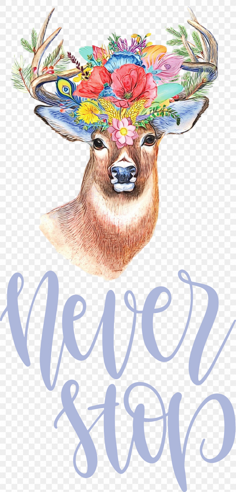 Deer Painting Paint By Number Antler Art Print, PNG, 1440x3000px, Never Stop, Antler, Art Print, Deer, Digital Art Download Free