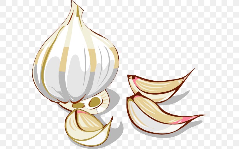 Garlic Onion Vegetable Clip Art, PNG, 600x510px, Garlic, Drawing, Flower, Flowering Plant, Food Download Free