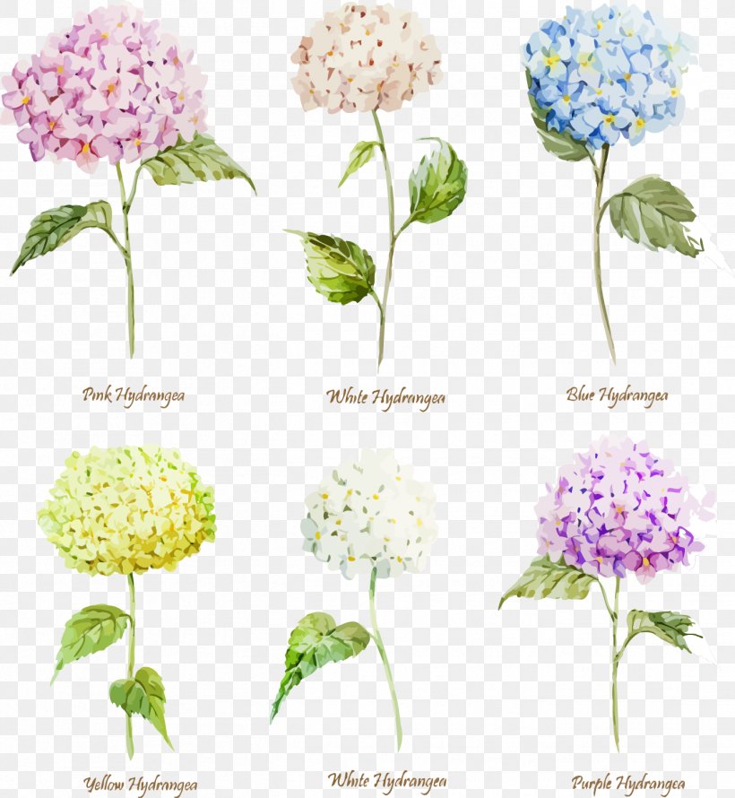 Hydrangea Flower Watercolor Painting Euclidean Vector, PNG, 1347x1462px, Hydrangea, Art, Cornales, Drawing, Floral Design Download Free