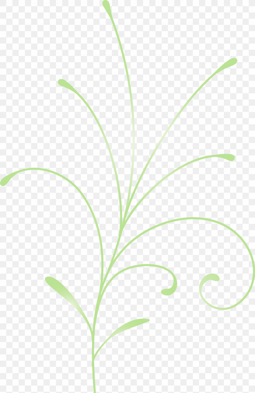 Leaf Grass Green Plant Grass Family, PNG, 1946x3000px, Easter Flower, Flower, Grass, Grass Family, Green Download Free
