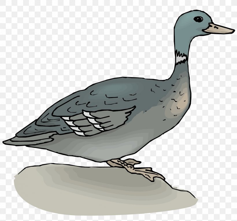 Mallard Duck Goose Clip Art, PNG, 1147x1069px, Mallard, Animation, Beak, Bird, Duck Download Free