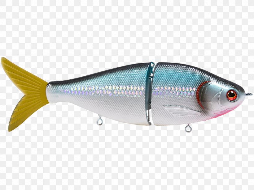 Sardine Spoon Lure Oily Fish Marine Biology, PNG, 1200x900px, Sardine, Ac Power Plugs And Sockets, Bait, Biology, Bony Fish Download Free