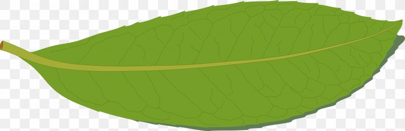 Cherry Laurel Leaf Bay Laurel Byte Clip Art, PNG, 2400x777px, Cherry Laurel, Bay Laurel, Byte, Grass, Green Download Free