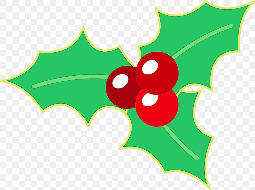 Holly, PNG, 3000x2232px, Holly, Christmas Ornament, Green, Leaf, Paint Download Free