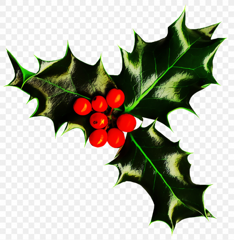 Holly Christmas, PNG, 1300x1334px, Holly, American Holly, Berry, Christmas, Flower Download Free