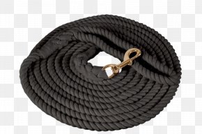 Horse - Horse Tack Longeing Cavesson Hackamore Halter PNG