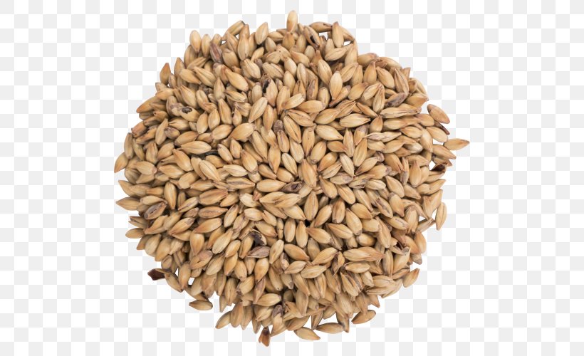 Oat Beer Bird Food Finch, PNG, 500x500px, Oat, Avena, Beer, Bird, Bird Feeding Download Free