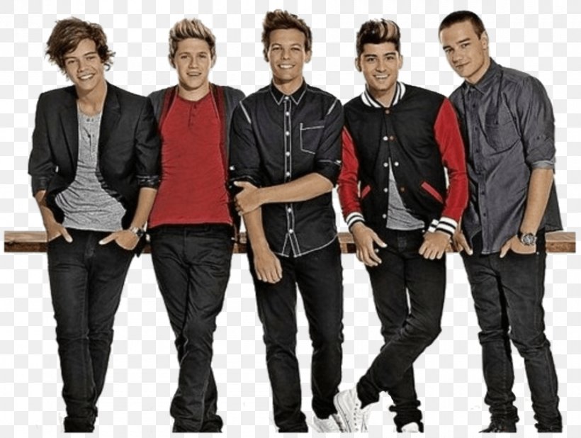 One Direction Take Me Home Tour Fan, PNG, 900x679px, One Direction, Fan, Harry Styles, I Should Have Kissed You, Irresistible Download Free