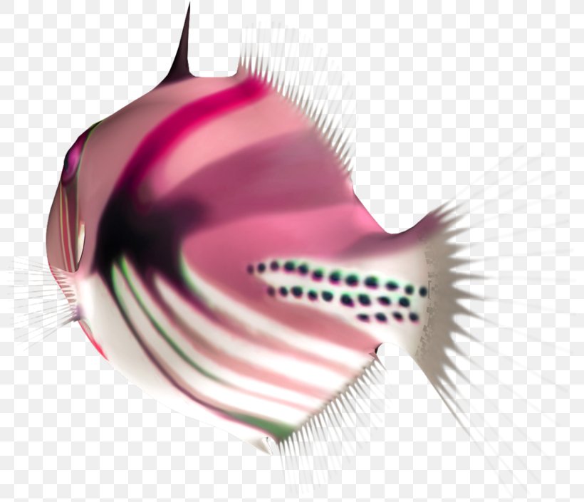 Fish Image Download Animal, PNG, 800x705px, Fish, Animal, Close Up, Dolphin, Drawing Download Free