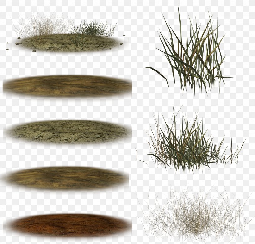 Slideboom Grasses Plant Clip Art, PNG, 2558x2455px, Slideboom, Grass, Grass Family, Grasses, Organism Download Free