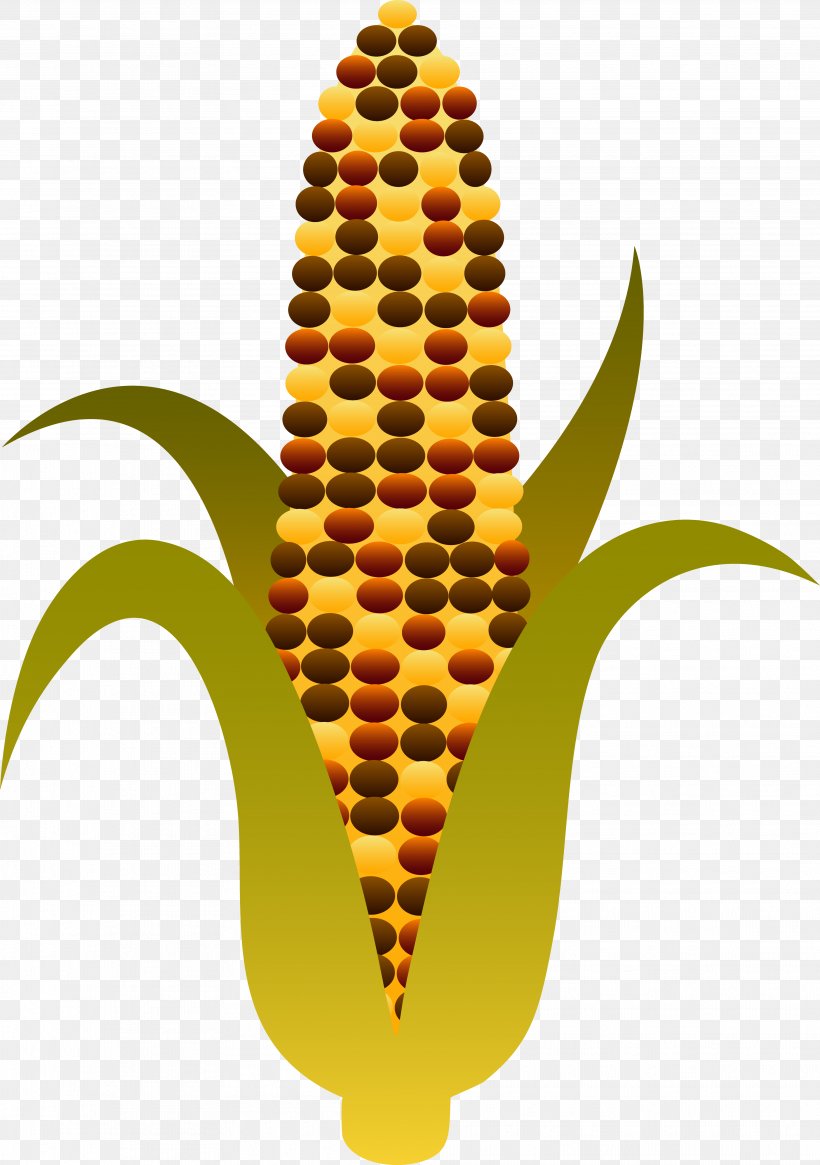 Candy Corn Corn On The Cob Maize Sweet Corn Clip Art, PNG, 3751x5330px, Candy Corn, Autumn, Corn On The Cob, Ear, Food Download Free