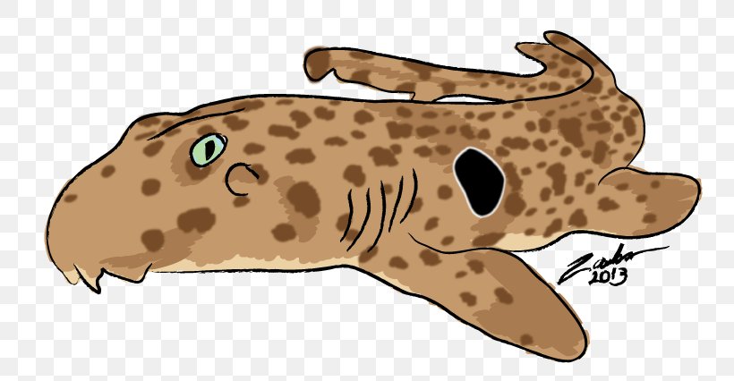 Epaulette Shark Fish Cat Animal, PNG, 750x426px, Epaulette Shark, Amphibian, Animal, Big Cat, Big Cats Download Free